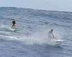surf