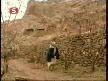ANA HANGİ YAVRUSUNA YANSIN