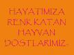 hayvanlar alemi