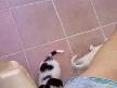 kuyruk  hastasıı :)