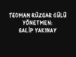 TEOMAN