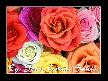 @EY YERİN GÖĞÜN SAHİBİ @