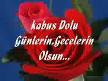 BIRAKIP KAÇMAK