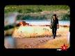 İBRAHİM ERKAL - SEVME