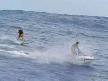 surf