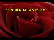 Seni Çok Seviyorum (Şiir)