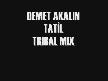 Demet Akal�n - Tatil (Dj ErkanLive Tribal Mix)