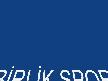Birlik Spor