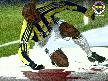 Anelka