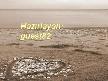 Dayananam (şiir)