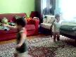 DİSCO