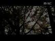 muhteşem ötesi bir klip ve şarkı