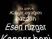 AH BU ÇALAN ŞARKIMIZ YARİM YARİM