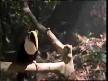 Michael Jackson - Earth song