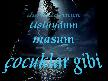 ahmet selcuk ilhan