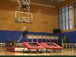 Süper Basketçiler
