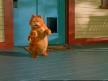 Garfield Dans