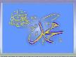 HZ.MUHAMMET(S.A.V.)