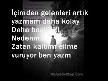 sana git diyemem