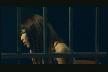Burcu Güneş - Seven