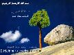 İLAHİ VE KUR'AN 