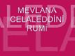 Hz Mevlana 800. YIL