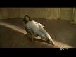 Alicia_Keys_-_No_One_musicvideo.mpg