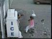 Funny Clips - America's Funniest Home Videos - Sca