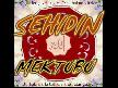 ŞEHİDİN SON MEKTUBU