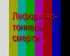otomobil kazalar�