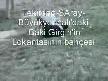 İT DALAŞI