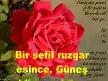 gülüm