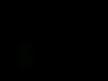 gece yolcuları hüzün