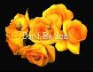 Do Not Be Sad !!