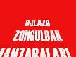 ZONGULDAK 10.CU KARAELMAS KÜLTÜR VE SANAT FESTİVAL