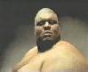 sumocular