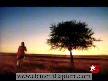 arzu