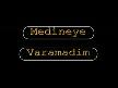 Medineye varamadım