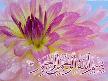 Affeyle Allah