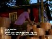 camp rock