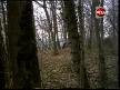 onlar yanlış biliyor